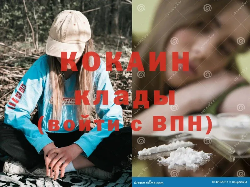 Cocaine Эквадор  даркнет как зайти  Курчалой  купить  сайты 